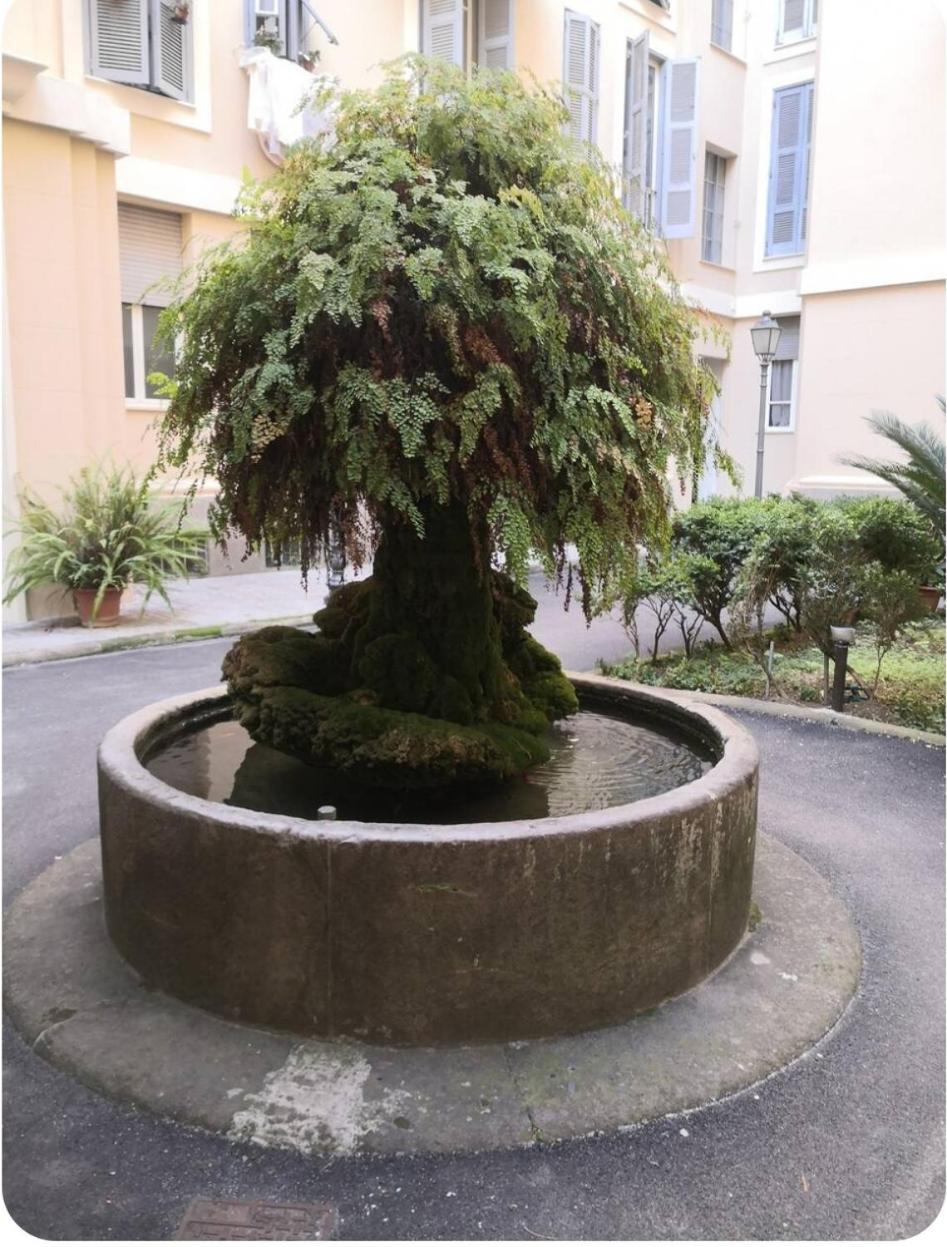 Privat bolig Unconventional Rom